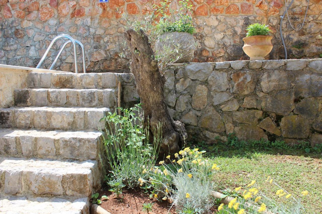 ריסיקה Apartments Seka מראה חיצוני תמונה